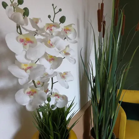 Casa Vacanze Ada Ragusa Esterno foto